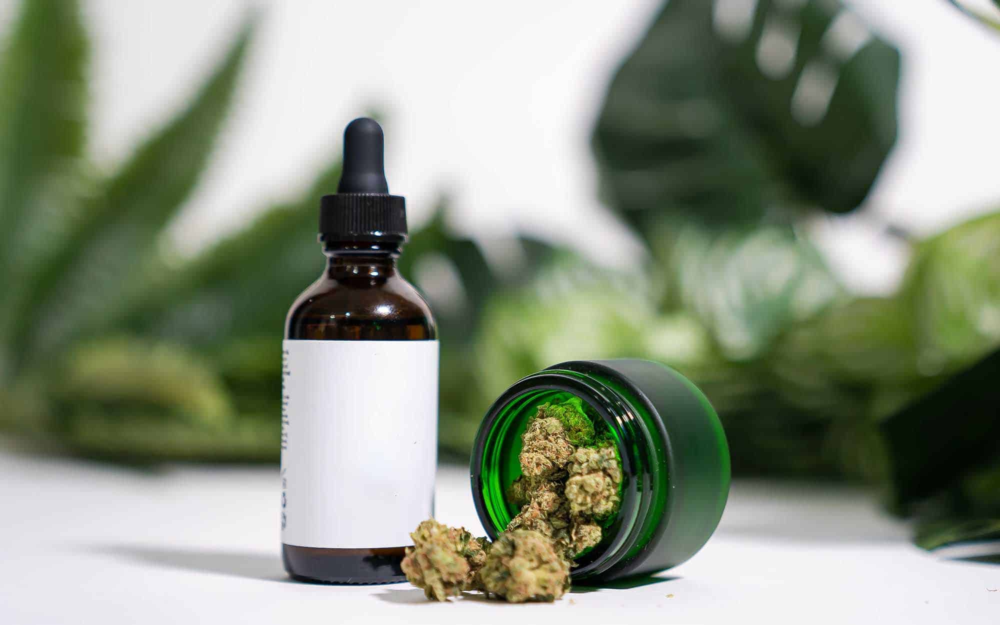 cannabis-image-of-labels_november2.jpg