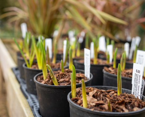 A Guide to Weather-Resistant Labels for Lawn and Garden Products